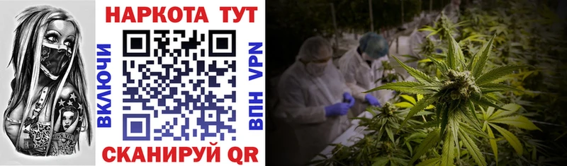 Купить наркотик аптеки Гатчина Cocaine Alpha-PVP НБОМе Меф мяу мяу Марихуана