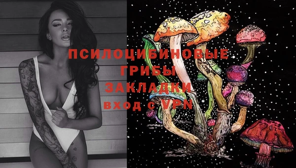 спиды Волосово