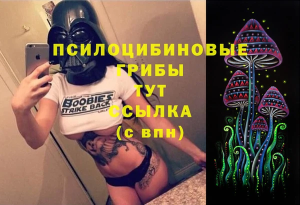 спиды Волосово