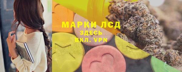 spice Володарск