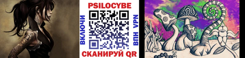 Псилоцибиновые грибы мицелий Гатчина